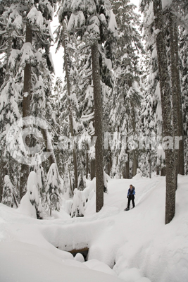 Snowshoeing